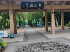 -柳浪闻莺公园