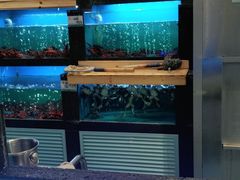 水产区-鲜味食族水产·海鲜餐厅