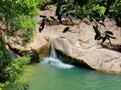 -广州白江湖森林公园