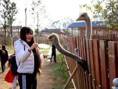 -云漫湖生态度假公园