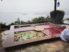 -天目湖涵田半山温泉