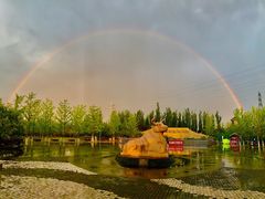 -永定河休闲森林公园