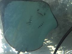 -合肥海洋世界