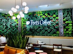 大堂-Peet's Coffee皮爷咖啡(德基店)