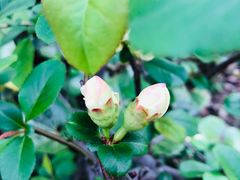 -苏州河梦清园环保主题公园