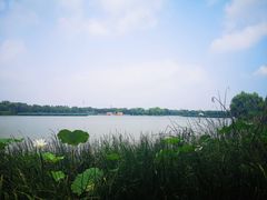 -洛阳市隋唐城遗址植物园