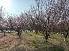 -南湖湿地公园