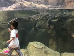 -哈尔滨波塞冬海底世界