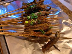 鳝鱼-晓靖轩烧烤(沙河风情店)