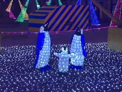 -重庆海昌加勒比海水世界