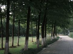 -莲湖公园