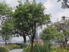-洲头咀公园