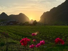 -靖西鹅泉风景区