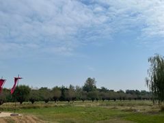 -汉长安城未央宫国家考古遗址公园