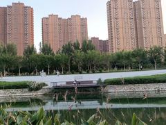 -坝河休闲公园
