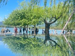 -颐和园