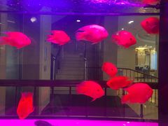 -新疆杭州疗养院·富春山庄