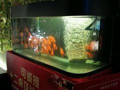 -徽珍源(龙茗路店)