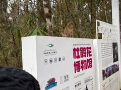 -海螺沟风景区