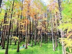 -青山湖景区