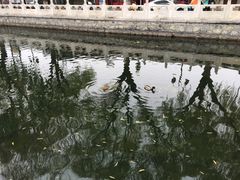 景点-什刹海-后海