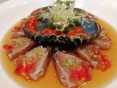 -子福慧(虹桥店)