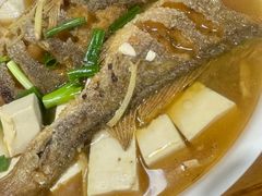 大黄鱼烧豆腐-温州一家人美食(西木头市店)