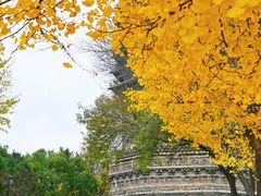 -玲珑塔公园