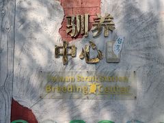 -广东惠东海龟国家级自然保护区