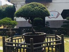 -水绘园