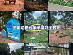 -昆明动物园