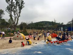 -铁山坪森林公园