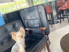 -游心咖啡(青山滨江店)