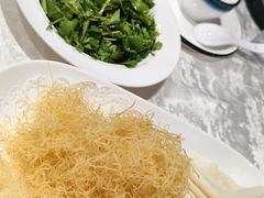 -丁老爷子苏香圆