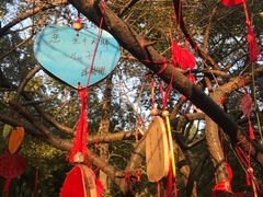 -宁波市保国寺古建筑博物馆