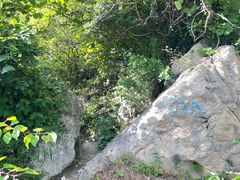 -阳台山自然风景区