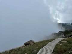 -白草畔自然风景区