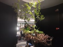 -金春禧(世茂国际广场店)