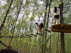 -合肥滨湖国家森林公园