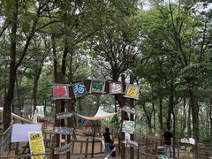 -沂蒙山旅游区云蒙景区(蒙山国家森林公园)