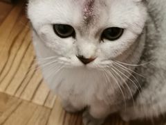 -美迦爱-牙专科·兔科·骨科诊疗中心(北苑店)