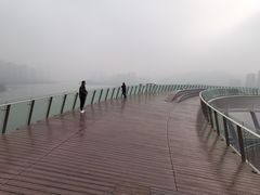 -梅溪湖城市岛