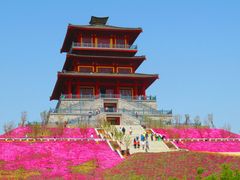 -古柏渡飞黄旅游区