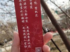 -桃花堤公园