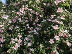 -仙海旅游度假区