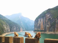 -白帝城·瞿塘峡景区