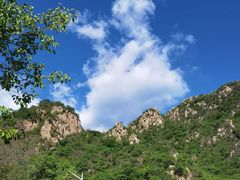 -大岭沟猕猴桃谷风景区