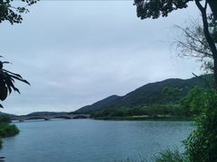 -长广溪湿地公园
