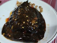 甲鱼壳-铁头烧菜馆(立新路店)