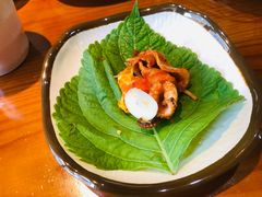 -红辣椒八爪鱼特色韩国料理